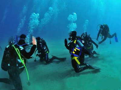 Immersioni Diving Yoghi giugno 2022